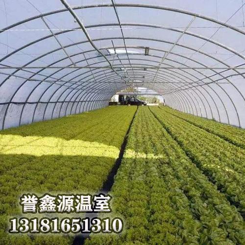 薄膜温室 骨架材料